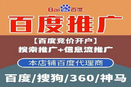 某电商平台信息流广告的精准推广策略